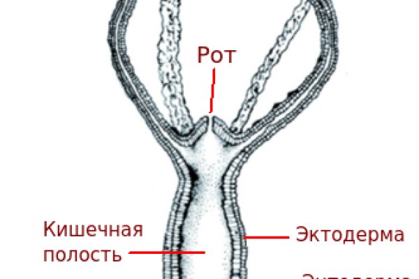 Ссылка на кракен в тор браузере kr2web in