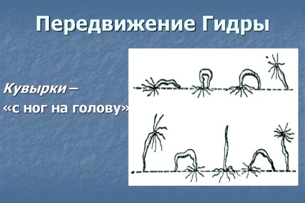 Кракен закладки