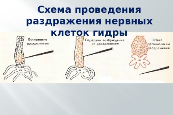 Почему в кракене пользователь не найден