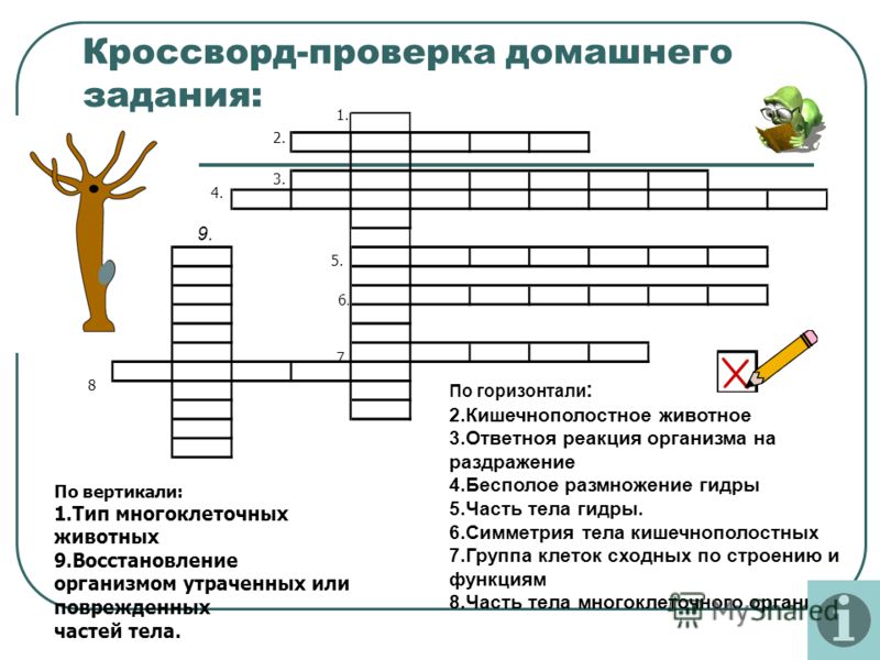 Кракен даркшоп